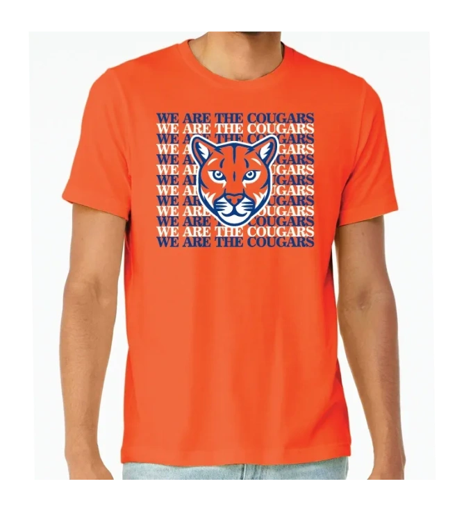 BELLA+CANVAS® 3413 Unisex Triblend Short Sleeve Tee